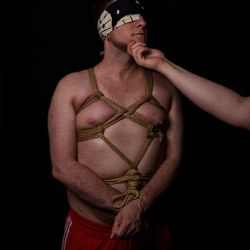 Shibari