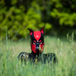 Hidden in the grass